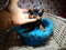 Click to view classifieds EAVTGUDF