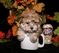 Click to view classifieds QRQYTDNG