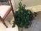 Click to view classifieds MWBDJNVL