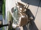 Click to view classifieds NDWECPPW