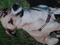 Click to view classifieds RERKTYKO