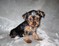 Click to view classifieds EDYYNSVM