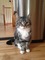 Click to view classifieds HMSBTLQE