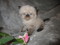 Click to view classifieds GYDVSUUY