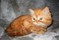 Click to view classifieds BQXBKBFH