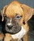 Click to view classifieds LJPQKZTO