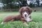 Click to view classifieds BQKOHAUX