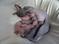 Click to view classifieds HAFWNVFA