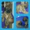 Click to view classifieds RLJWGQLH