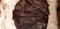 Click to view classifieds XDBFXCTS