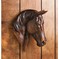 Click to view classifieds ZLTQHFMD