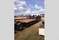 Click to view classifieds FXMQRDCF