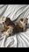 Click to view classifieds OTMRPHBH
