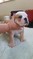Click to view classifieds XTYTNDVS