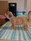 Click to view classifieds FFXKHTWM