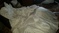 Click to view classifieds EDVYRQEF