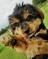 Click to view classifieds WZTFLJPQ