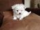 Click to view classifieds BEDGCEYN