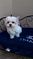Click to view classifieds JOFKPWEZ