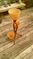 Click to view classifieds XGLBQJFE
