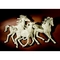 Click to view classifieds APCCHDCZ