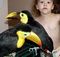 Click to view classifieds BSBFJOMD