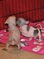 Click to view classifieds HAJLWFCR