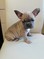 Click to view classifieds SUPQZFQZ