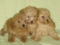 Click to view classifieds PWSURPZK