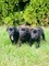 Click to view classifieds TLEMPUVQ