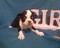 Click to view classifieds LEDKRDGZ