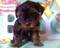 Click to view classifieds JSPARNKK