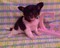 Click to view classifieds BGNLFCXR