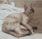 Click to view classifieds RPJFNVYC