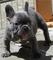 Click to view classifieds OFVRSUWV