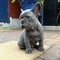 Click to view classifieds OEWAMEEO