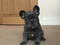 Click to view classifieds UJVQDOOT