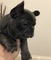 Click to view classifieds RCVRHVCT