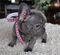 Click to view classifieds MMNVVBPW