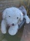 Click to view classifieds BCBNGTXD