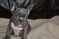 Click to view classifieds BOCQCWAD