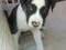Click to view classifieds QRJPVSXY