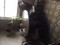 Click to view classifieds NAMCHMRN