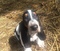 Click to view classifieds YEXGMFFT