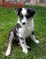 Click to view classifieds YGLGRDNQ