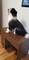 Click to view classifieds ELMURRVG