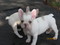 Click to view classifieds HXQZLKQS