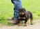 Click to view classifieds WEUSELKC