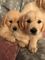 Click to view classifieds RKQJAJAT