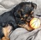 Click to view classifieds QEENNTHA